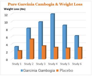 garcinia