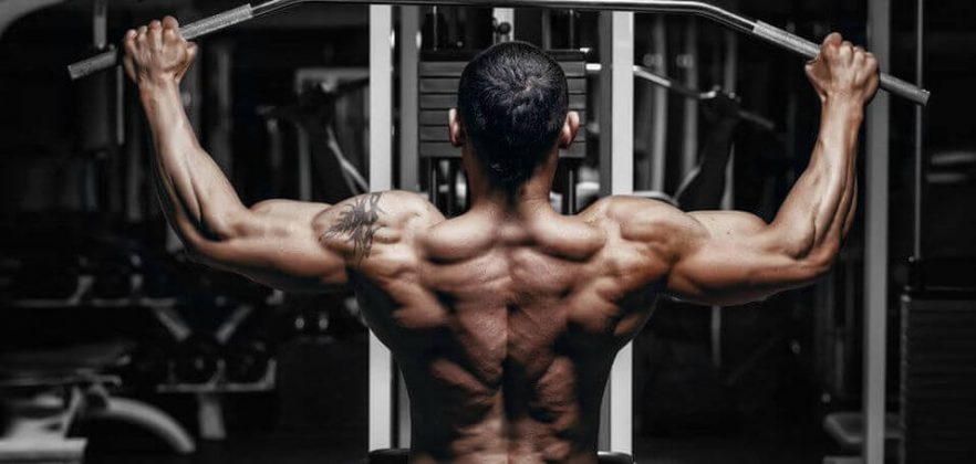 Top 10 Back Exercises 