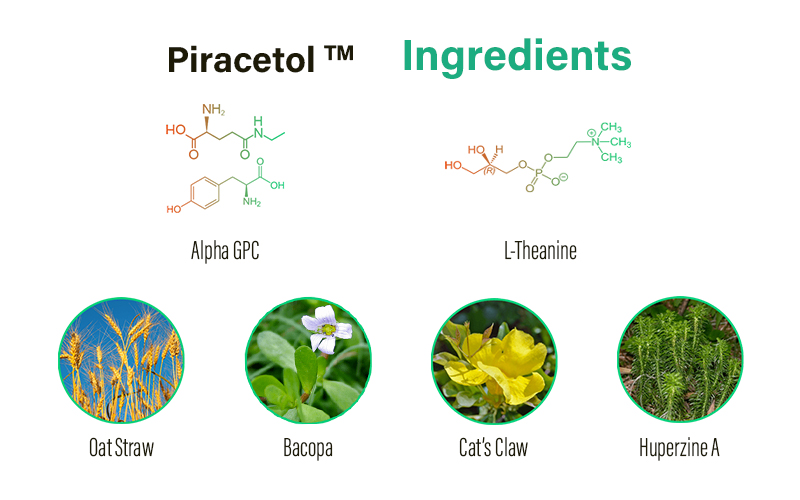 piracetol-ingredients