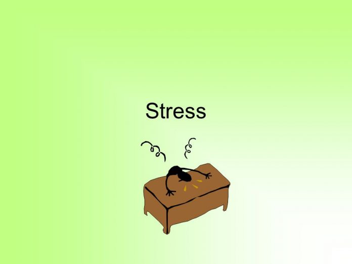 Stress You Out